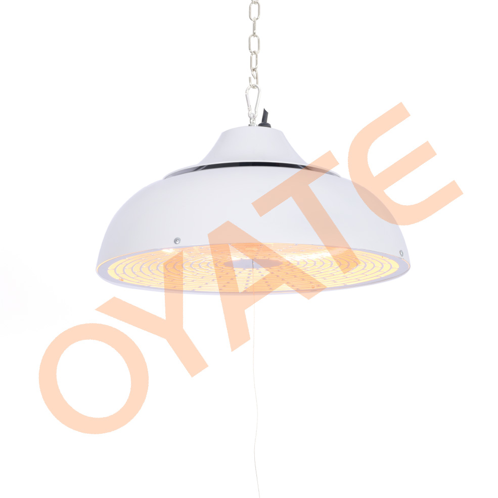 Wall mounted outdoor heater